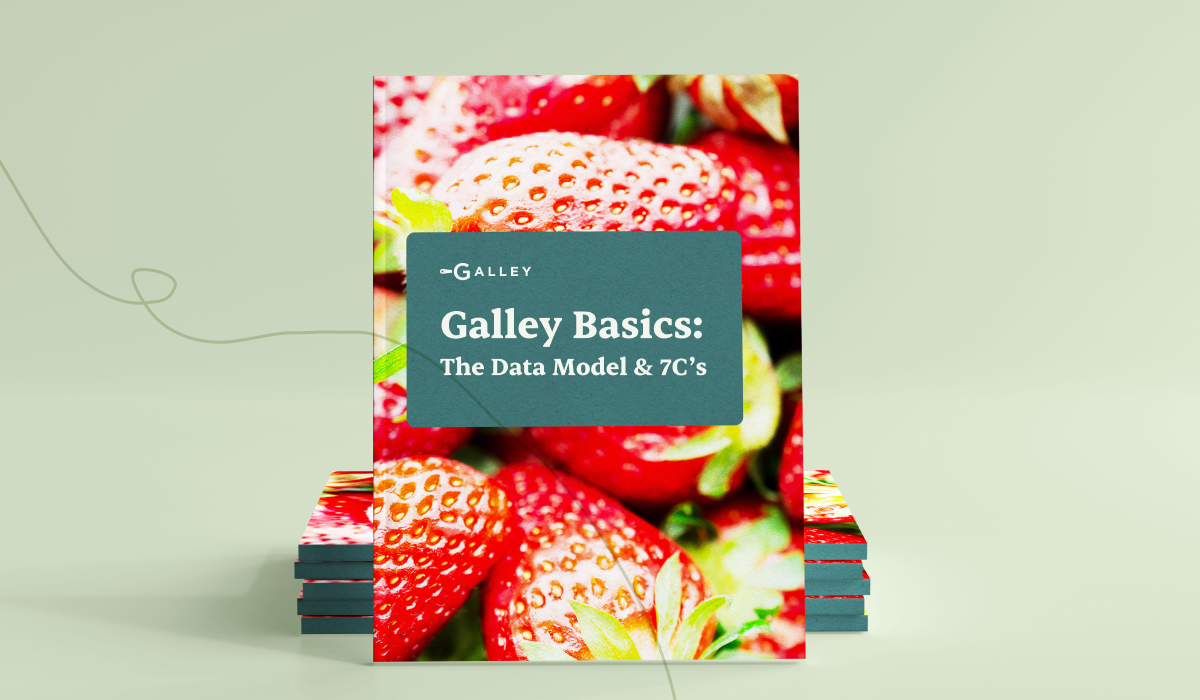 Galley Basics: The Data Model & 7C's