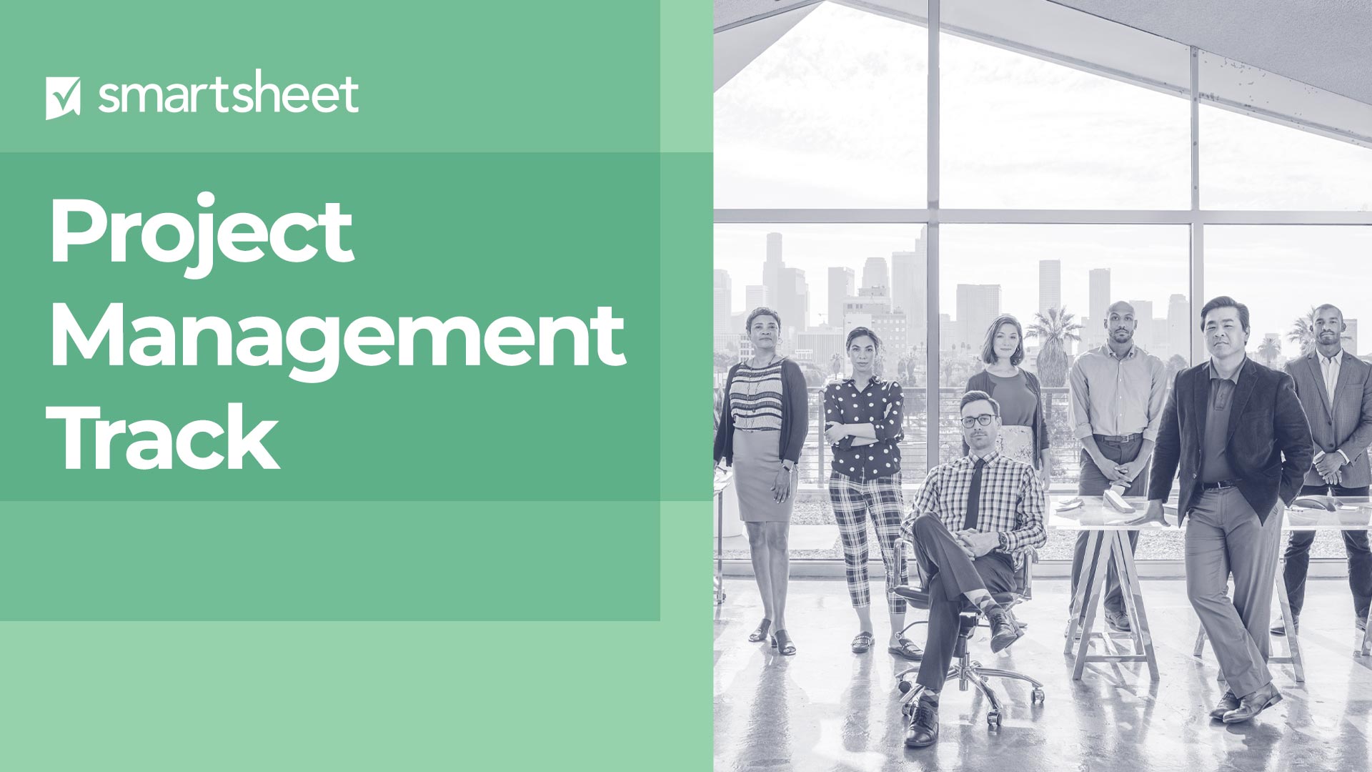 Instructions for Navigating the Project Management Track