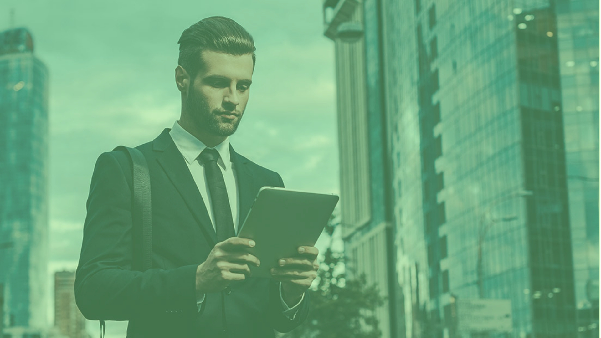 Data Quality for Data Governance & Big Data (Level 100)