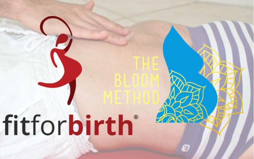 Pre & Post Natal Diastasis and Core Consultant (PPDCC)