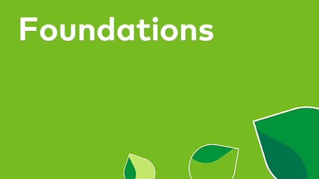 Foundations