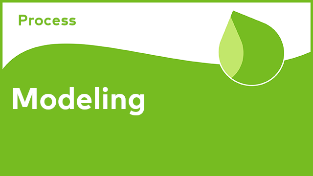 Process - Modeling