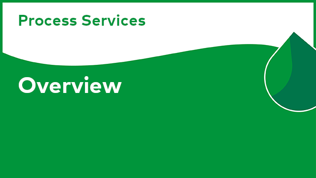 Process Services: Overview