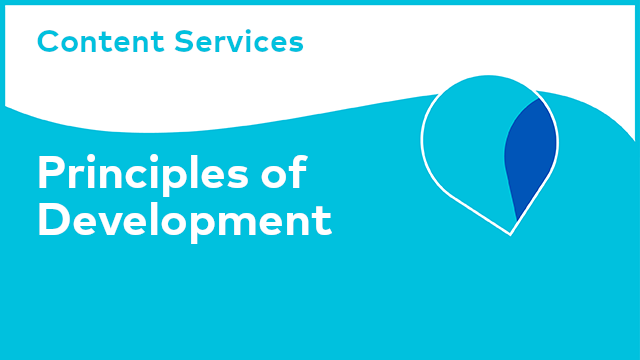Content Services: Principles of Development