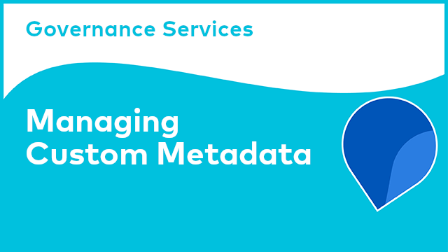 Governance Services: Managing Custom Metadata