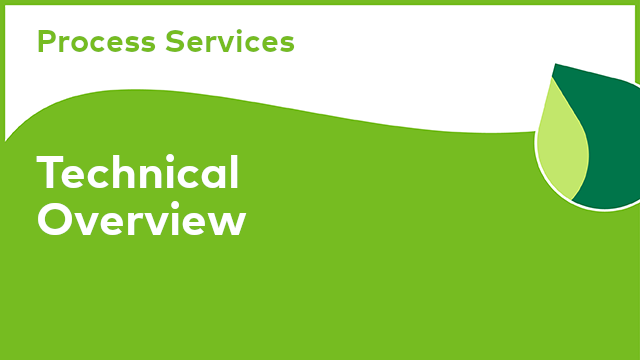 Process Services: Technical Overview