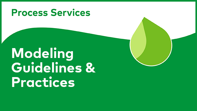 APS Modeling: Process Modeling Practices & Guidelines