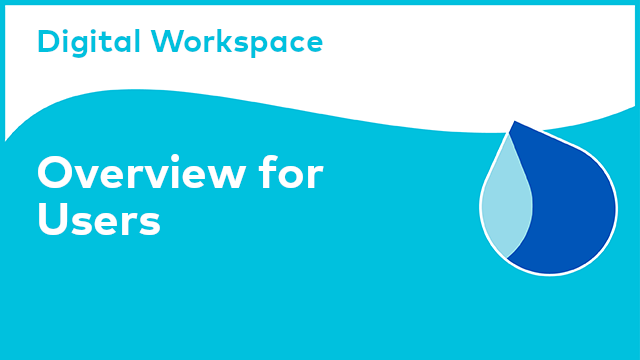 Digital Workspace: Overview for Users