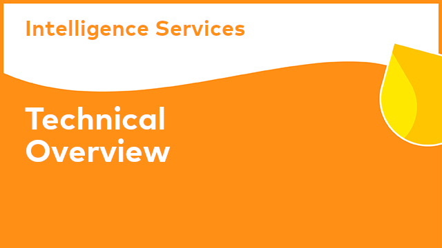 Intelligence Services: Technical Overview