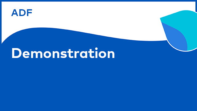 Application Development Framework: Demonstration