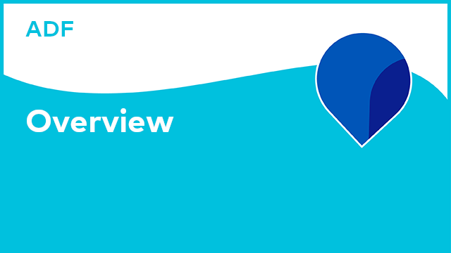 Application Development Framework: Overview