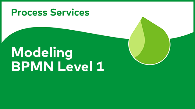 APS Modeling: BPMN Level 1