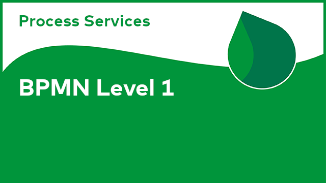 Process Services: BPMN Level 1