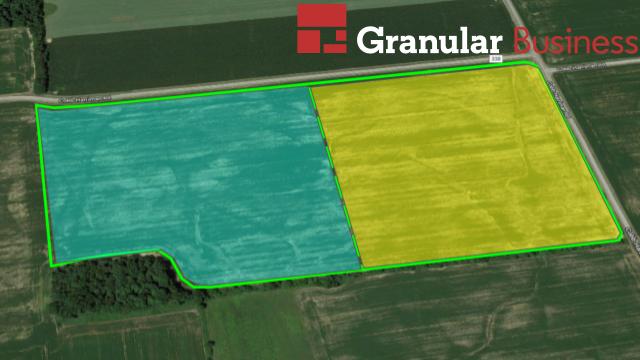 Setting up fields and boundaries