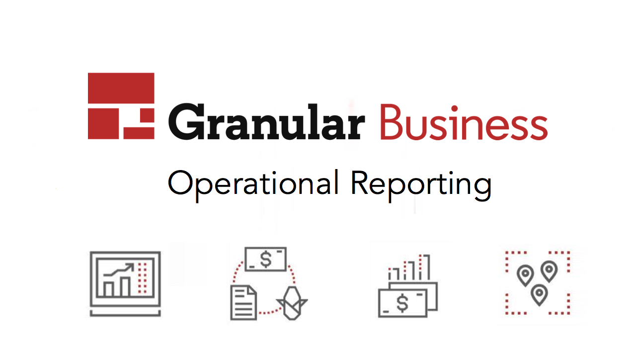 Operational Reporting with Granular Business
