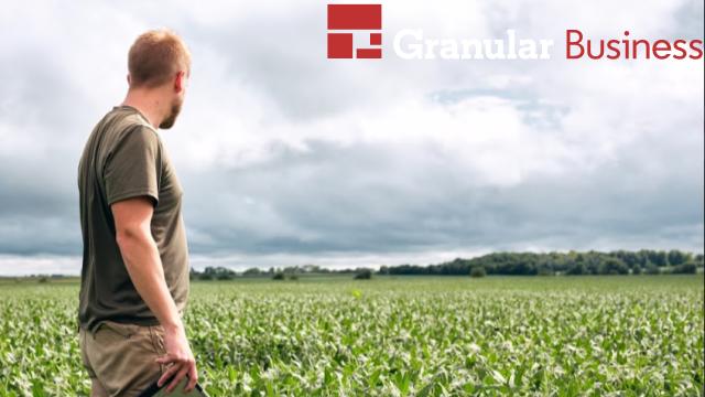 Five Minutes to Field-Level Financials