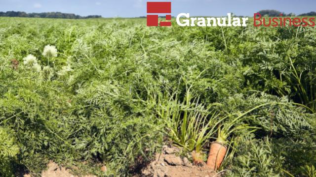 Creating Crop Plans - how and why