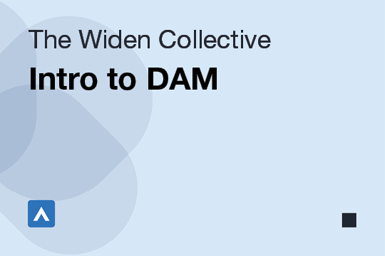 Intro to DAM