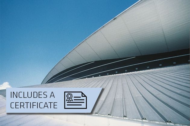 平坦屋顶-计划成功