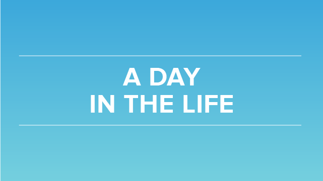 A Day in the Life