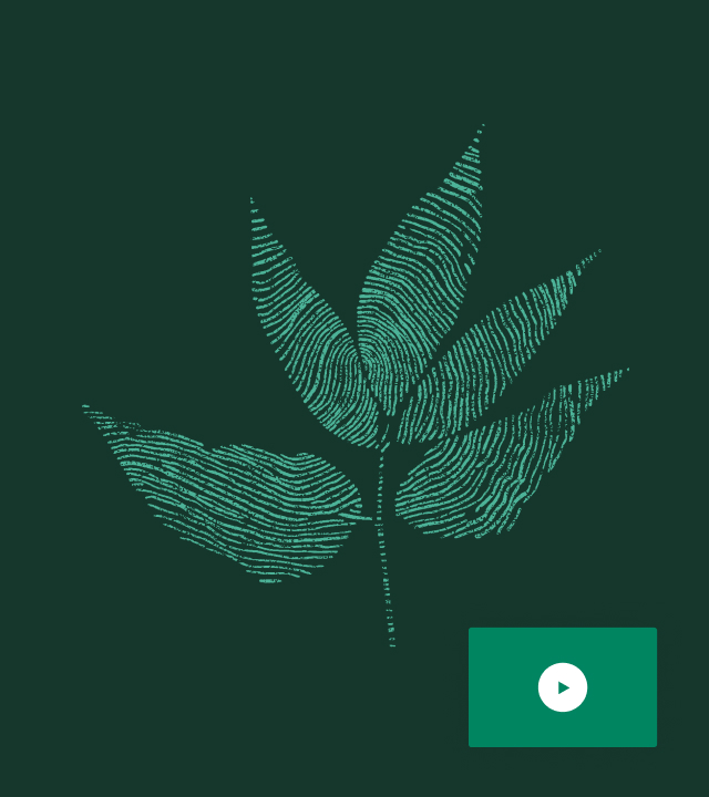 要求候选人可用性
