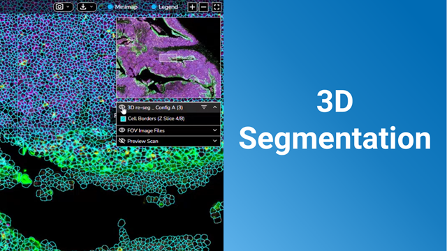 3d Segmentation Simulation How to Perform 3D Segmentation in the AtoMx® SIP