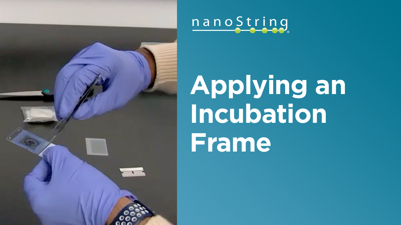 CosMx™ SMI Howto Apply an Incubation Frame