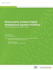 Molecularly Guided Highly Multiplexed Spatial Profiling with the RNAscope and GeoMx Assays
