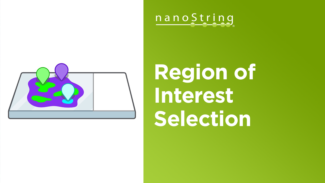 Introduction to Region of Interest Selection