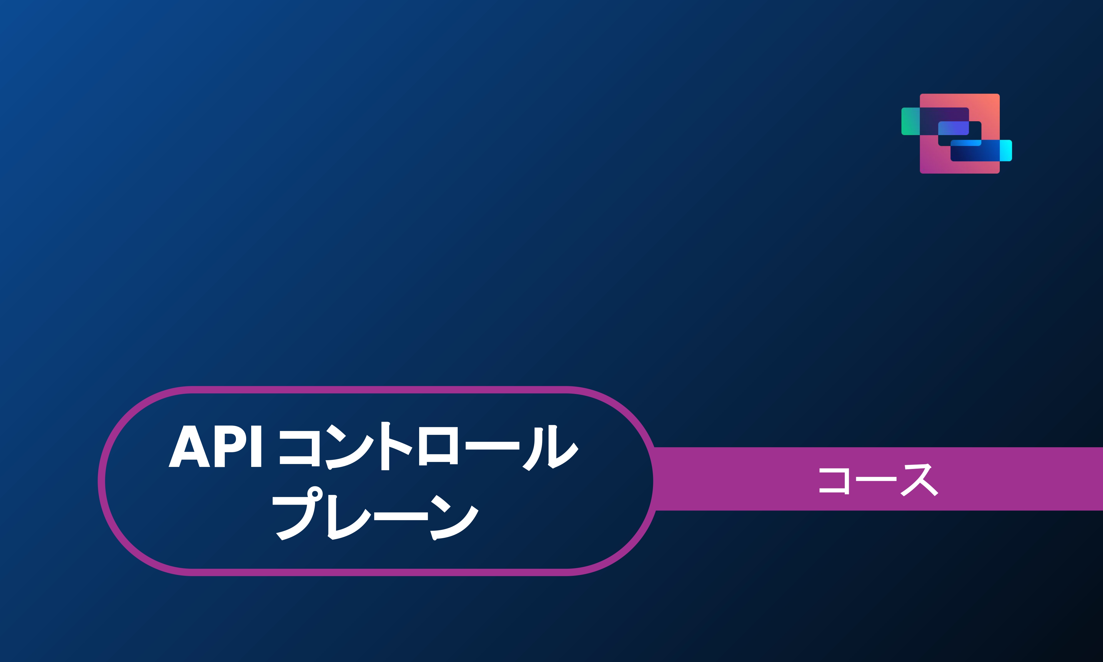 APIコントロールプレーン (API Control Plane)