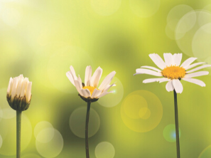 Building Knowledge in Motivational Interviewing: Part II
