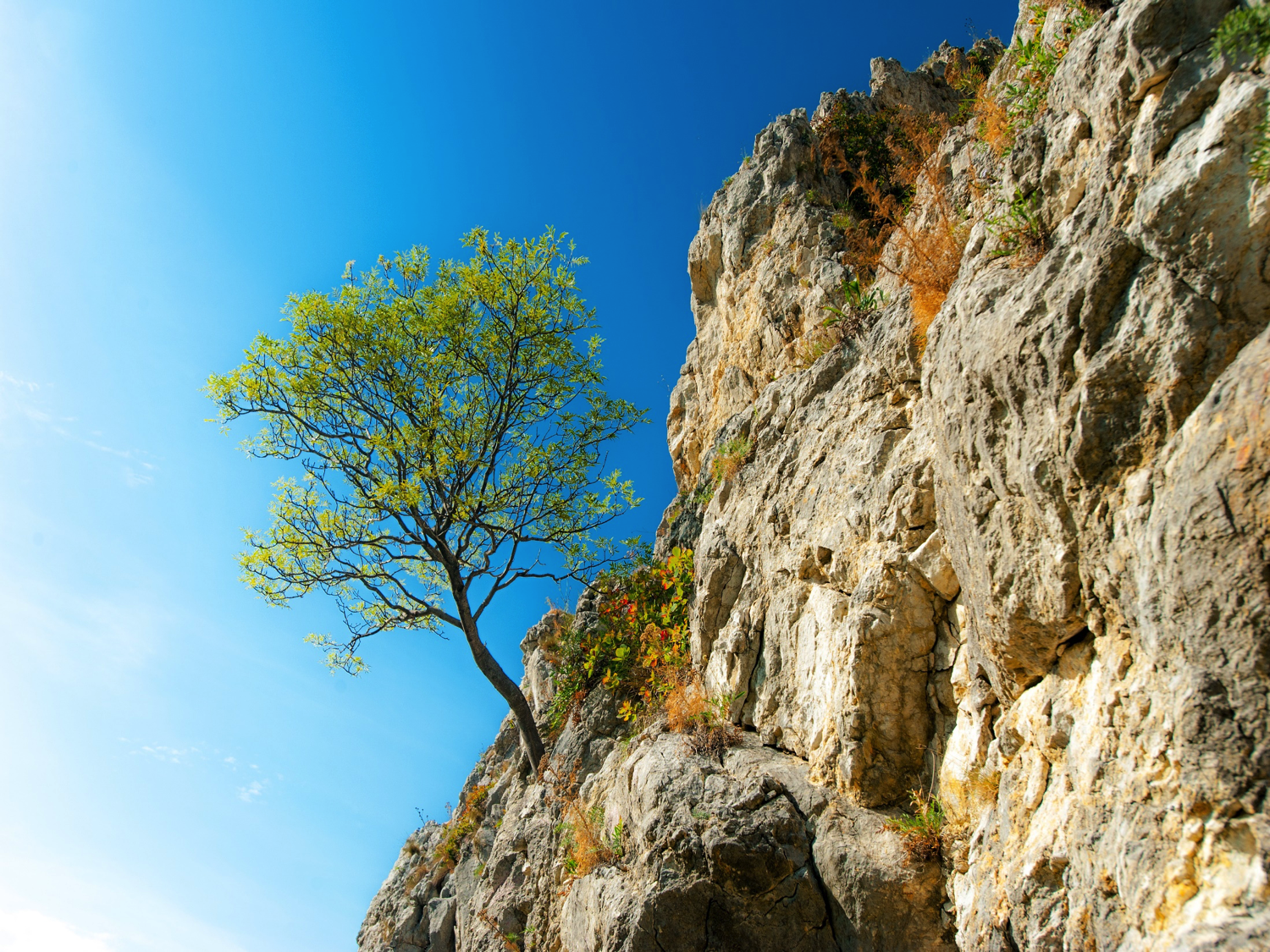 Supporting Resilience