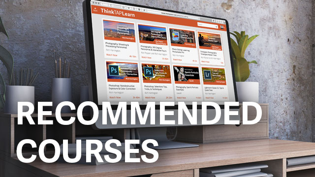 Recommended For You