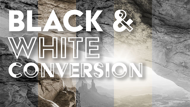 Black & White Conversion LUTs