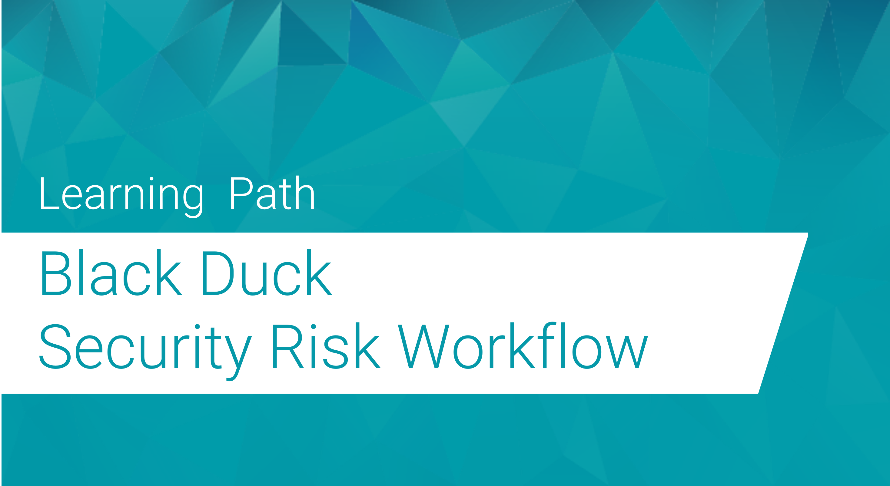 Black Duck Security Risk Workflow