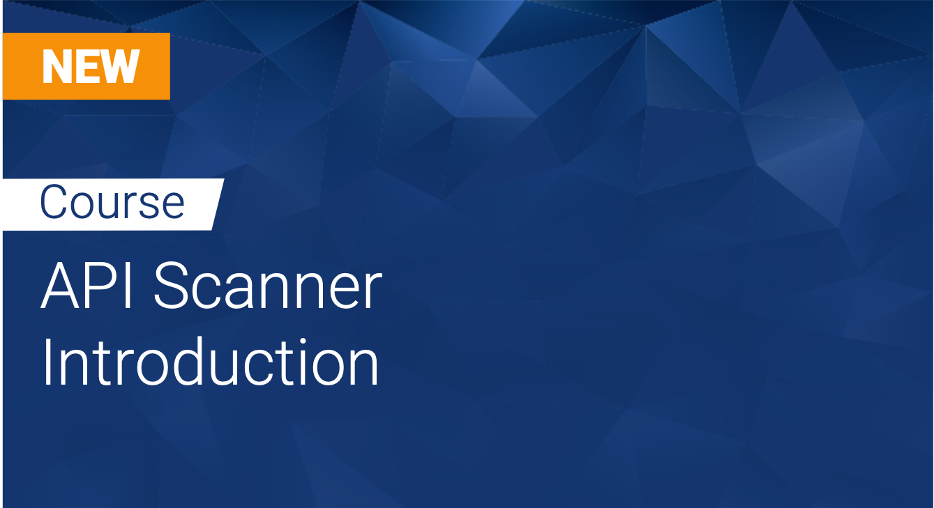 Tinfoil API Scanner: Introduction