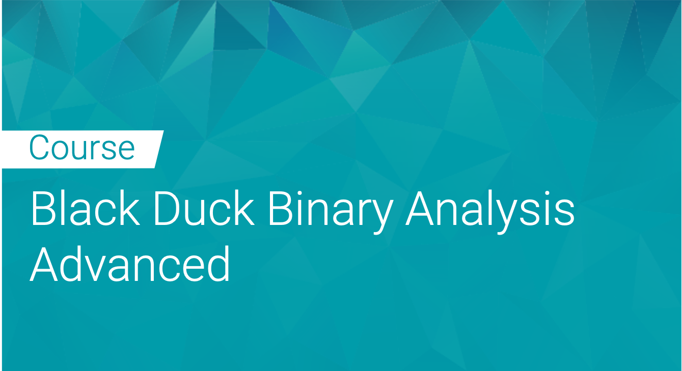 Black Duck Binary Analysis Advanced