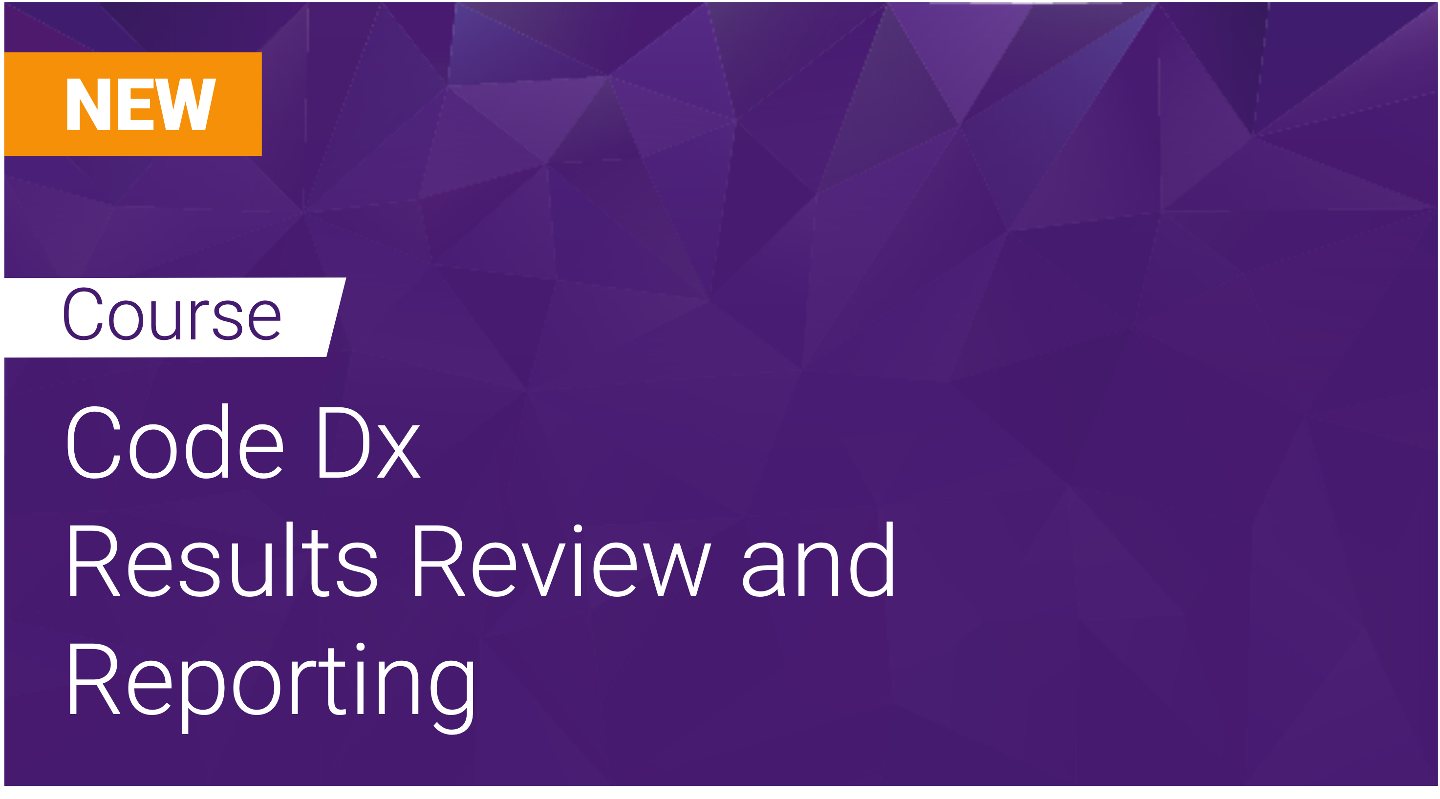 Code Dx Results Review And Reporting Code Dx Results Review And Reporting