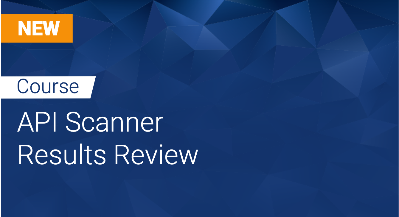Tinfoil API Scanner: Results Review