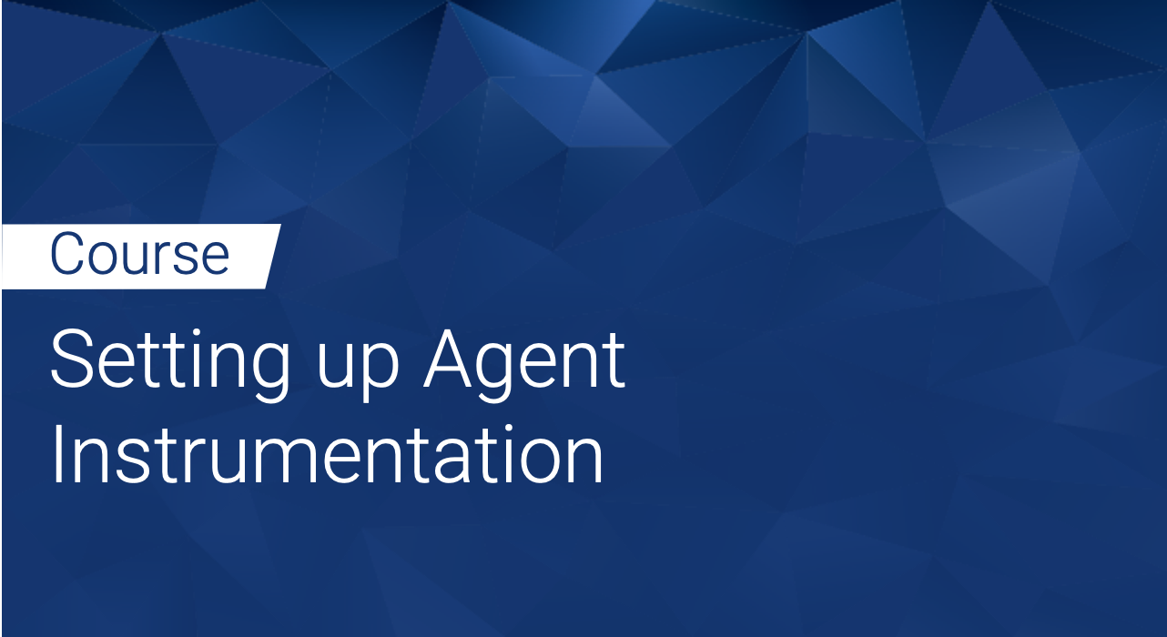 Defensics: Setting up Agent Instrumentation