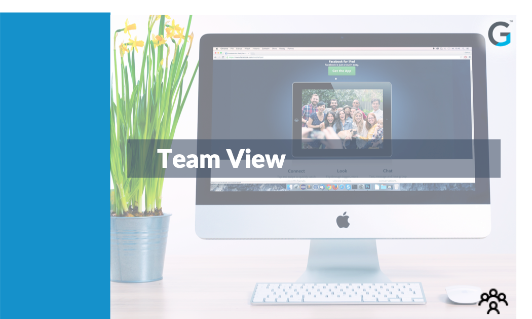 Gainsight - Team View - SFDC