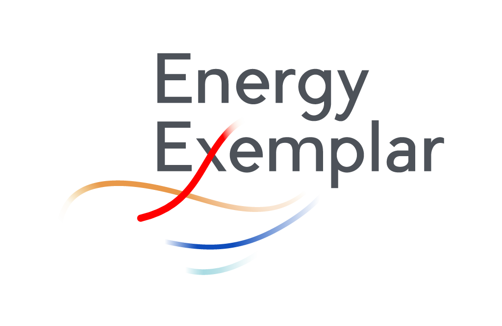 Introduction to Energy Exemplar