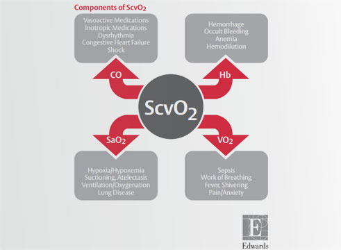 Scv02 Reference
