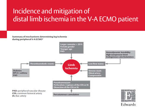 ForeSight Elite whitepaper: Distal limb ischemia in the V-A ECMO patient, incidence and mitigation
