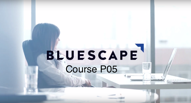 Bluescape Idea Starters