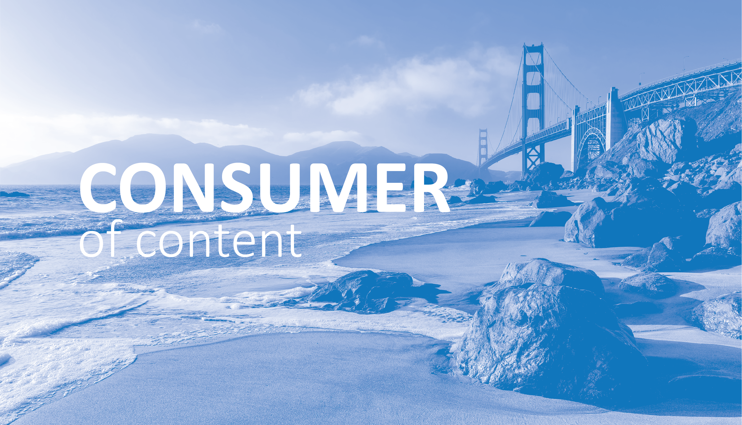 Consumer