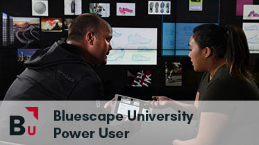 Bluescape Power User