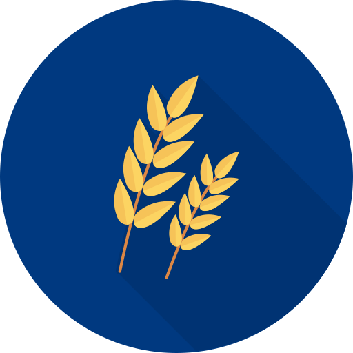 October Product Release