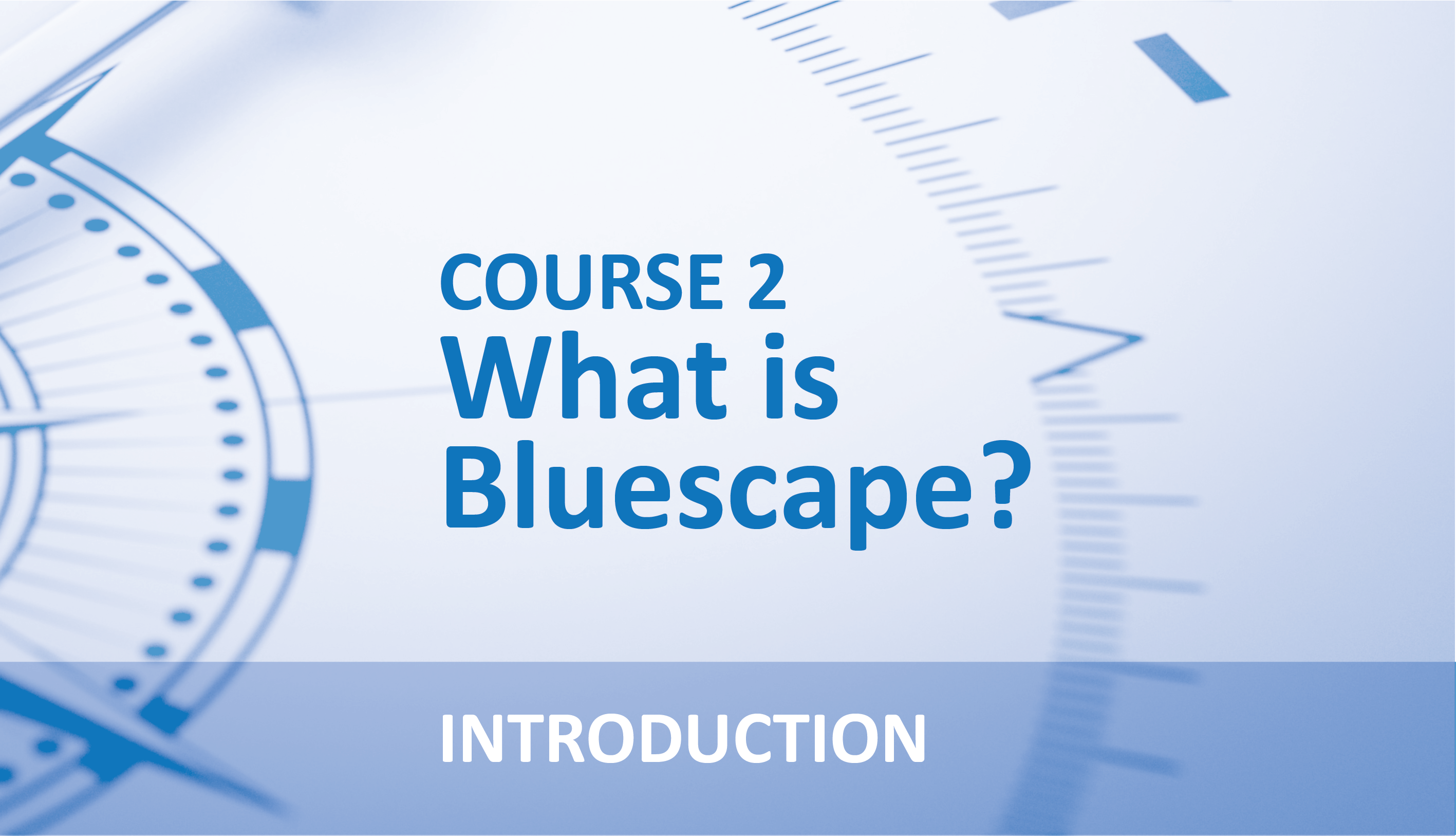 What is Bluescape?
